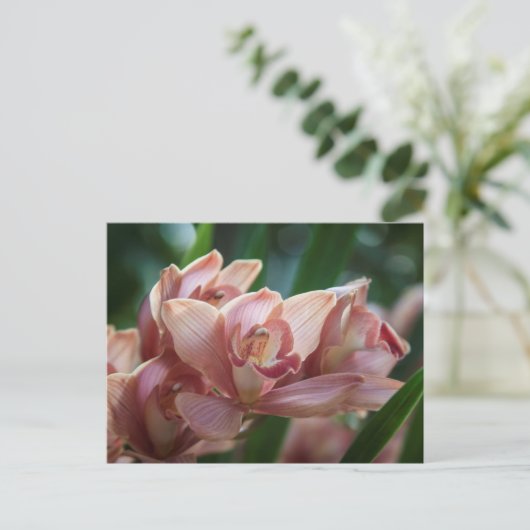 Milk Tea Orchid Briefkaart (Staand voorkant)