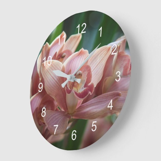 Milk Tea Orchid Grote Klok (Hoek)