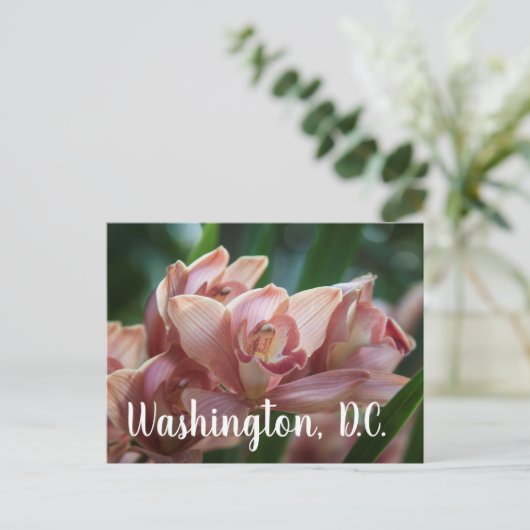 Milk Tea Orchid Washington D.C. Briefkaart (Staand voorkant)