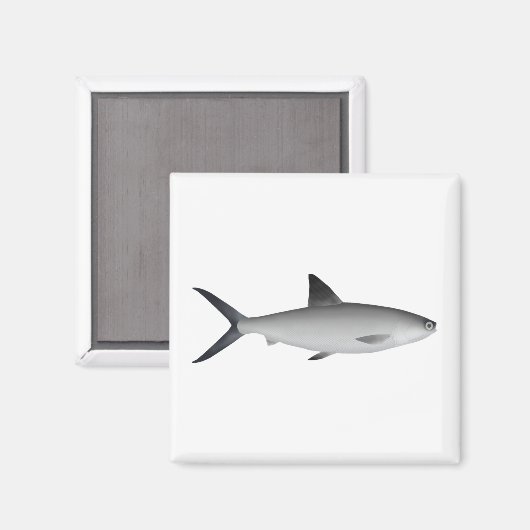 Milkfish Magnet (Voorkant / Achterkant)