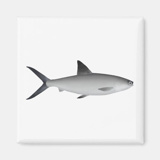 Milkfish Magnet (Voorkant)