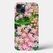 Milkweed aka Asclepias Summer Blooms Case-Mate iPhone Case (Achterkant)