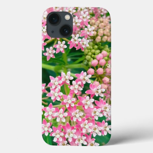 Milkweed aka Asclepias Summer Blooms Case-Mate iPhone Case (Achterkant)