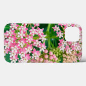 Milkweed aka Asclepias Summer Blooms Case-Mate iPhone Case (Achterkant (horizontaal))
