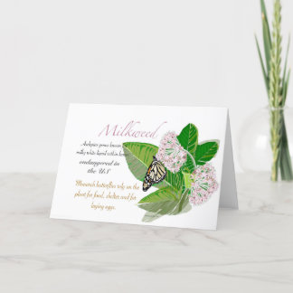 Milkweed Blank Card Bedankkaart