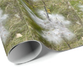 Milkweed | Botervlieg | Cadeaupapier (Rol Hoek)