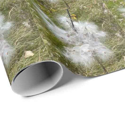 Milkweed | Botervlieg | Cadeaupapier (Rol Hoek)