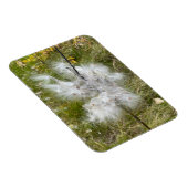 Milkweed | Botervlieg | Flexibel Magneet (Rechterzijde)