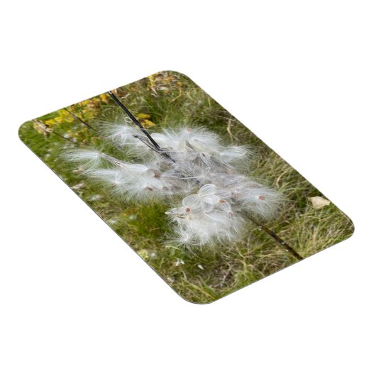Milkweed | Botervlieg | Flexibel Magneet (Rechterzijde)