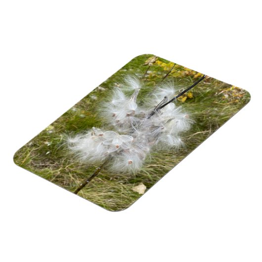 Milkweed | Botervlieg | Flexibel Magneet (Linkerzijde)