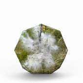 Milkweed | Botervlieg | Fotoblokken (Voorkant)