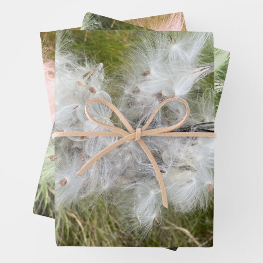 Milkweed | Botervlieg | Inpakpapier Vel (In situ)