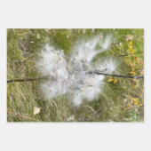 Milkweed | Botervlieg | Inpakpapier Vel (Voorkant)