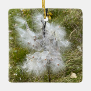 Milkweed   Botervlieg   Keramisch Ornament