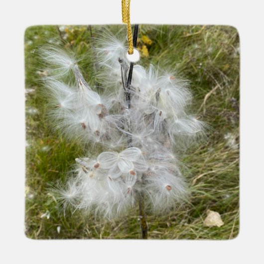 Milkweed | Botervlieg | Keramisch Ornament (Voorkant)