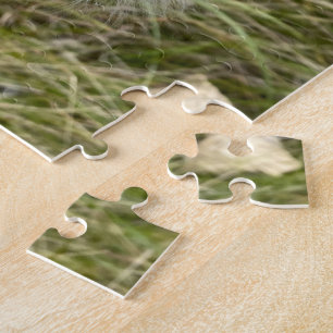 Milkweed   Botervlieg   Legpuzzel