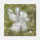 Milkweed | Botervlieg | Magneet (Voorkant)