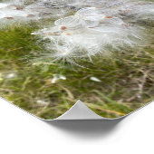 Milkweed | Botervlieg | Poster (Hoek)