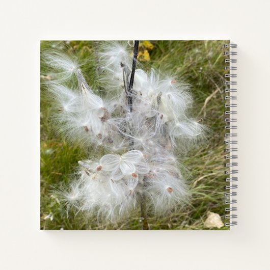 Milkweed | Botervlieg | Schets Notitieboek (Achterkant)