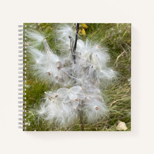 Milkweed | Botervlieg | Schets Notitieboek (Voorkant)
