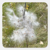 Milkweed | Botervlieg | Vierkante Sticker (Voorkant)