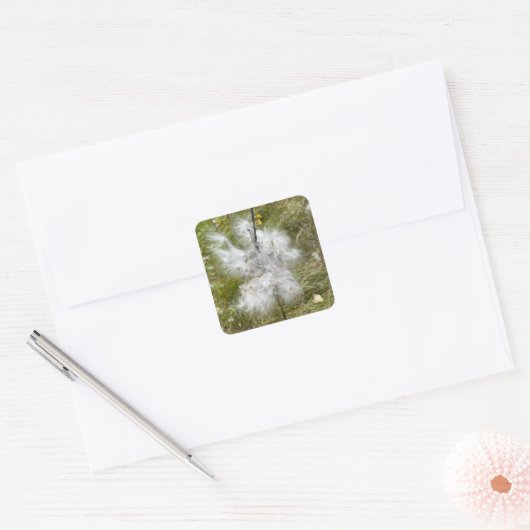 Milkweed | Botervlieg | Vierkante Sticker (Envelop)