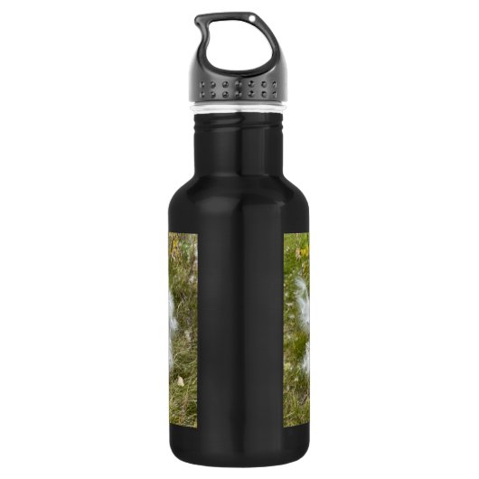 Milkweed | Botervlieg | Waterfles (Achterkant)