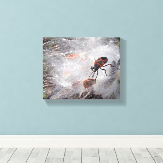 Milkweed Bug op Milkweed Down Canvas Afdruk (Insitu (Houten vloer))