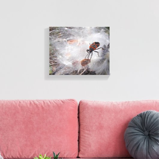 Milkweed Bug op Milkweed Down Canvas Afdruk (Insitu (Woonkamer))