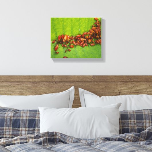 Milkweed Bugs op Milkweed Leaf Canvas Afdruk (Insitu (Slaapkamer))