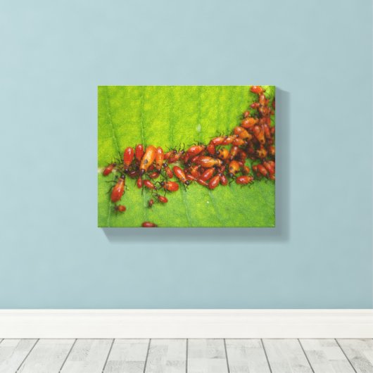 Milkweed Bugs op Milkweed Leaf Canvas Afdruk (Insitu (Houten vloer))