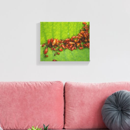 Milkweed Bugs op Milkweed Leaf Canvas Afdruk (Insitu (Woonkamer))