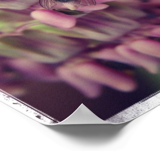 Milkweed en Fly Poster (Hoek)