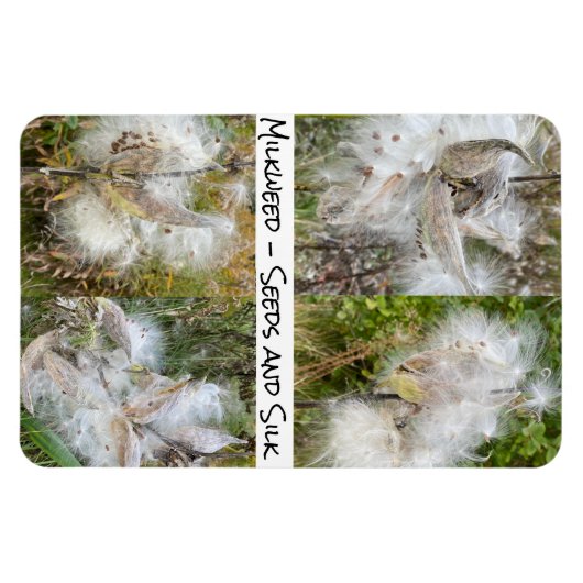 Milkweed | Flexibel natuurlijk Magneet (Horizontaal)