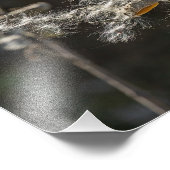 Milkweed Foto Afdruk (Hoek)