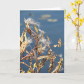 Milkweed in het gebied van de Natuur Kaart (Gele Bloem)