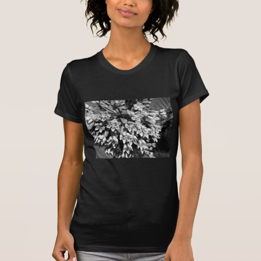 Milkweed in zwart en wit t-shirt (Voorkant)