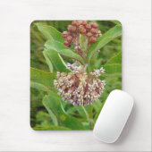 Milkweed is  muismat (Met muis)