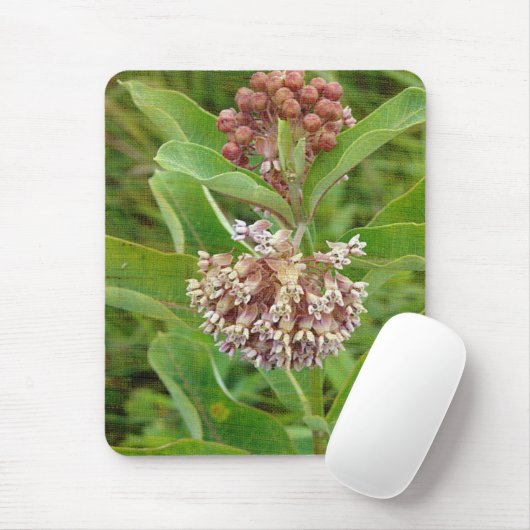 Milkweed is muismat (Met muis)