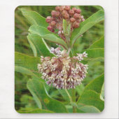 Milkweed is muismat (Voorkant)