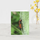 Milkweed Kever en Pod - Blank Wenskaart Kaart (Gele Bloem)