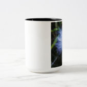 Milkweed Mok (Center)