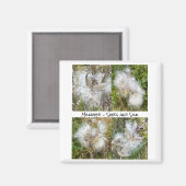 Milkweed | Natuurlijke Magneet (Voorkant / Achterkant)