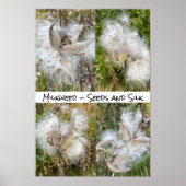 Milkweed | Natuurlijke Poster (Voorkant)