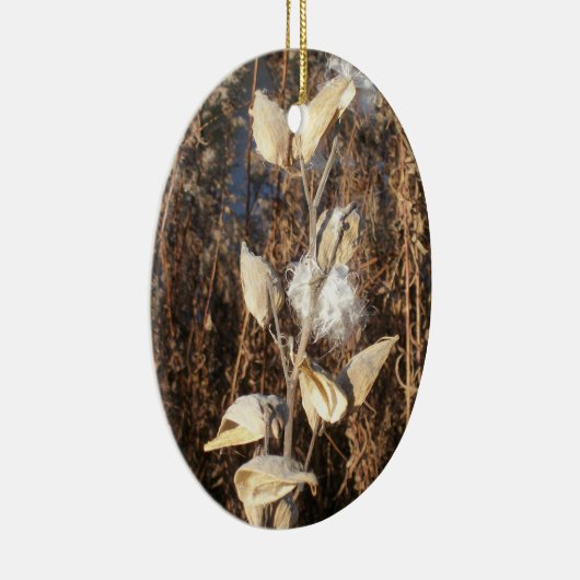 Milkweed Ornament (Rechts)