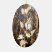 Milkweed Ornament (Links)