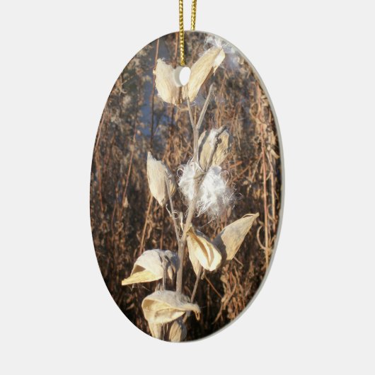 Milkweed Ornament (Links)