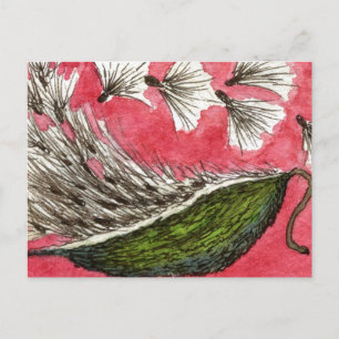 "Milkweed Pod" Floral Briefkaart