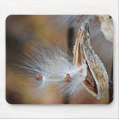 Milkweed Pod Macro Muismat (Voorkant)