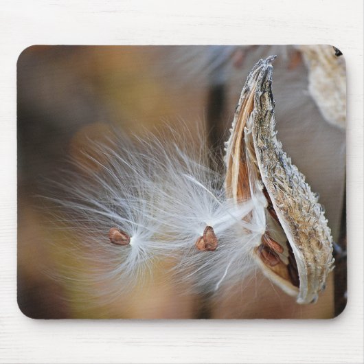 Milkweed Pod Macro Muismat (Voorkant)
